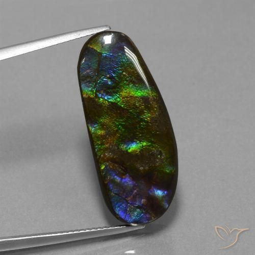 16.37ct 자연스러운 다색 암몰라이트, 팬시한, 불투명체