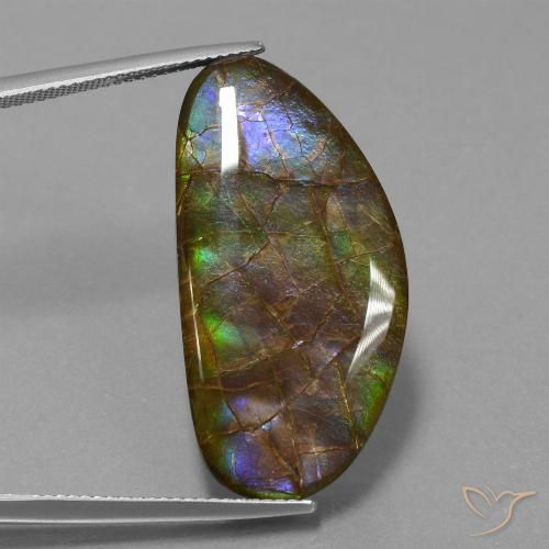 26.24ct 자연스러운 다색 암몰라이트, 팬시한, 불투명체