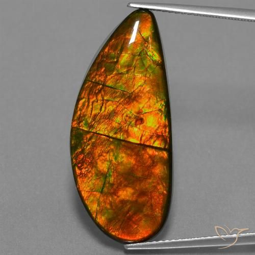 18.94ct 자연스러운 다색 암몰라이트, 팬시한, 불투명체
