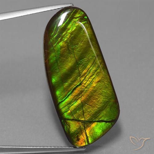 25.90ct 자연스러운 다색 암몰라이트, 팬시한, 불투명체
