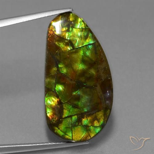 18.96ct 자연스러운 다색 암몰라이트, 팬시한, 불투명체