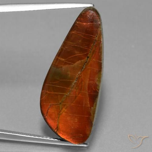 13.94ct 자연스러운 다색 암몰라이트, 팬시한, 불투명체
