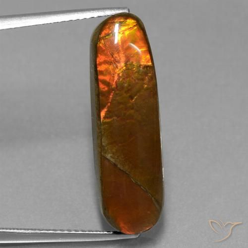 10.96ct 자연스러운 다색 암몰라이트, 팬시한, 불투명체