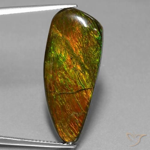 18.13ct 자연스러운 다색 암몰라이트, 팬시한, 불투명체