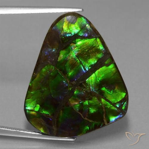 21.05ct 자연스러운 다색 암몰라이트, 일조, 불투명체