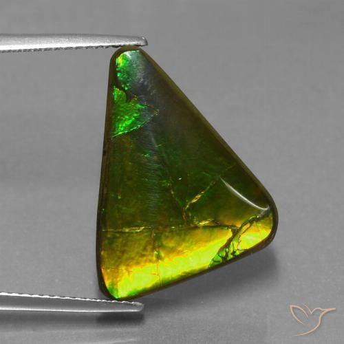11.34캐럿 천연 멀티컬러 암몰라이트, 트릴리언, 20.8×14.7 mm, 불투명체