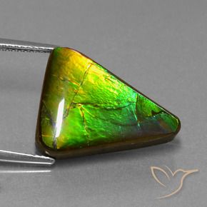 11.34캐럿 천연 멀티컬러 암몰라이트, 트릴리언, 20.8×14.7 mm, 불투명체