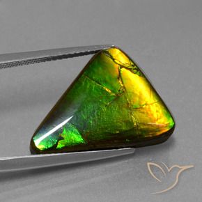 11.34캐럿 천연 멀티컬러 암몰라이트, 트릴리언, 20.8×14.7 mm, 불투명체