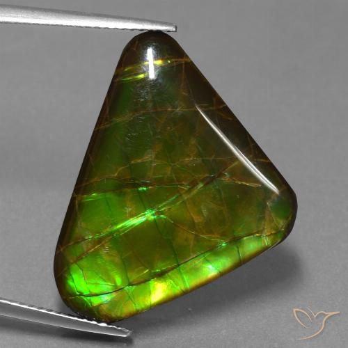 21.83ct 자연스러운 다색 암몰라이트, 일조, 불투명체
