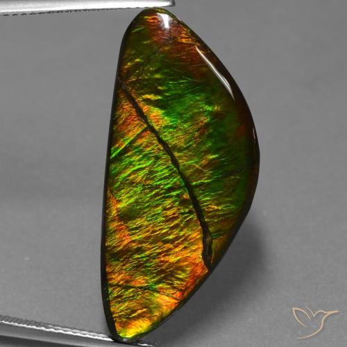 19.31ct 자연스러운 다색 암몰라이트, 팬시한, 불투명체