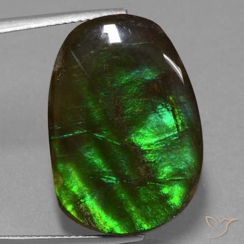 16.23ct 자연스러운 다색 암몰라이트, 팬시한, 불투명체