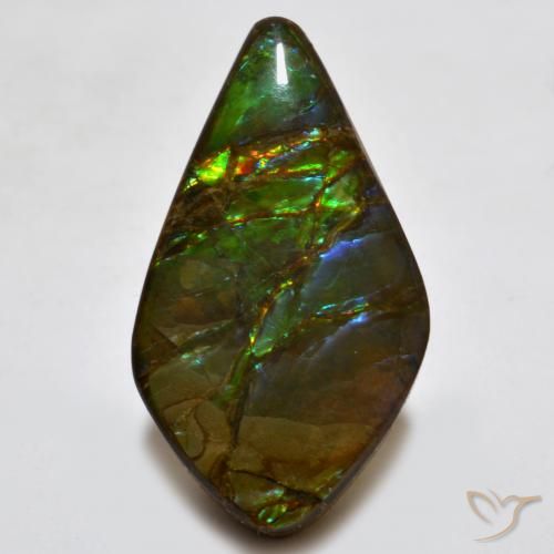 18.15ct 자연스러운 다색 암몰라이트, 팬시한, 불투명체