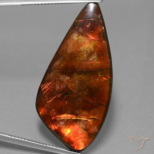 23.09ct 자연스러운 다색 암몰라이트, 팬시한, 불투명체