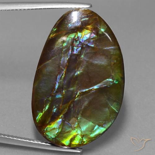 27.74ct 자연스러운 다색 암몰라이트, 팬시한, 불투명체