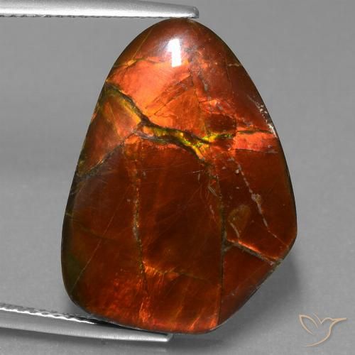 15.20ct 자연스러운 다색 암몰라이트, 팬시한, 불투명체