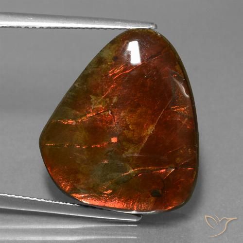 16.97ct 자연스러운 다색 암몰라이트, 팬시한, 불투명체
