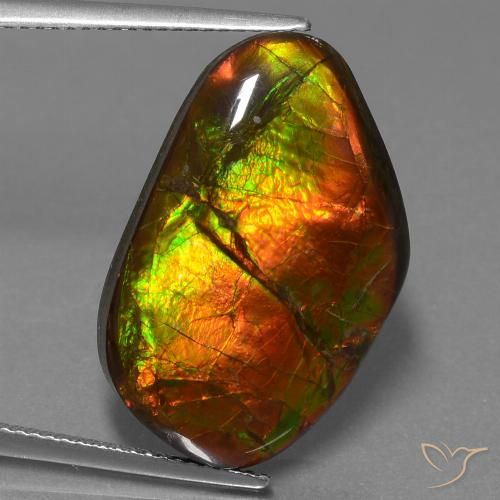 18.18ct 자연스러운 다색 암몰라이트, 팬시한, 불투명체