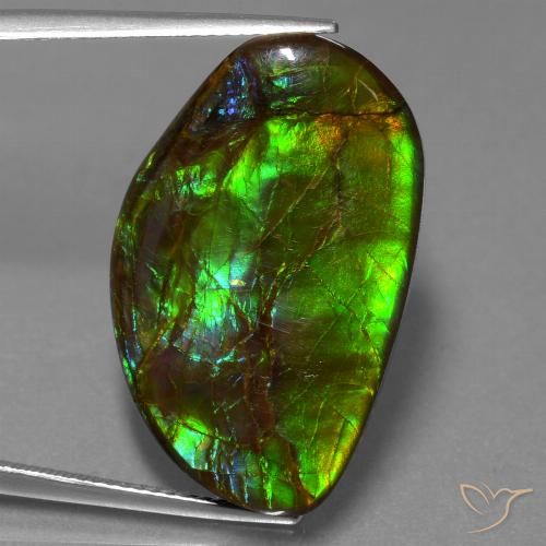 19.80ct 자연스러운 다색 암몰라이트, 팬시한, 불투명체