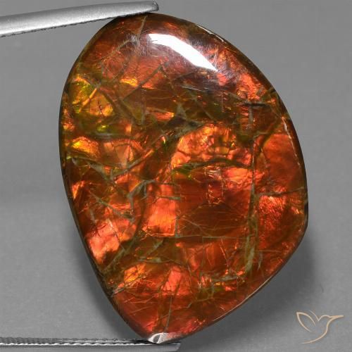 25.32ct 자연스러운 다색 암몰라이트, 팬시한, 불투명체