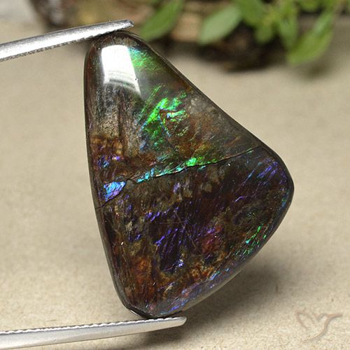 21.94ct 자연스러운 다색 암몰라이트, 팬시한, 불투명체