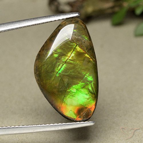 11.44ct 자연스러운 다색 암몰라이트, 팬시한, 불투명체
