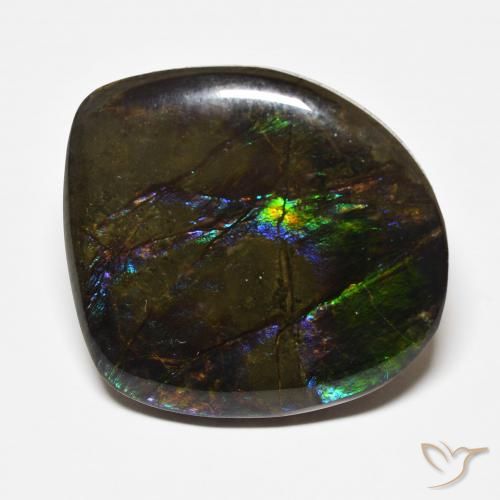 22.71ct 자연스러운 다색 암몰라이트, 팬시한, 불투명체