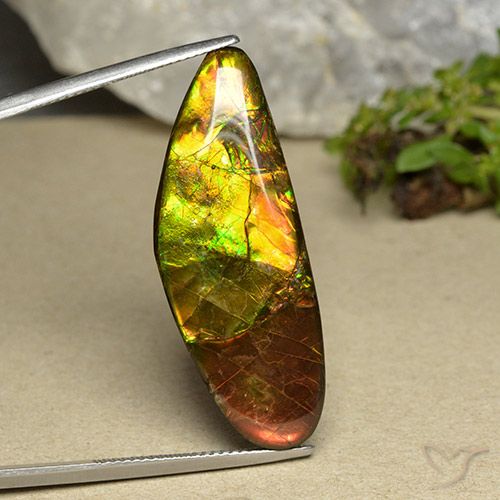 22.66ct 자연스러운 다색 암몰라이트, 팬시한, 불투명체
