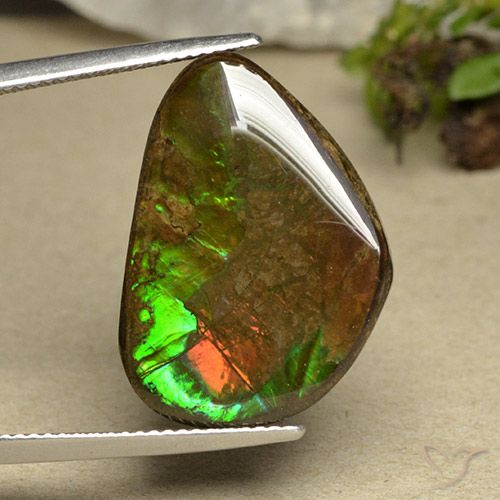 14.98ct 자연스러운 다색 암몰라이트, 팬시한, 불투명체
