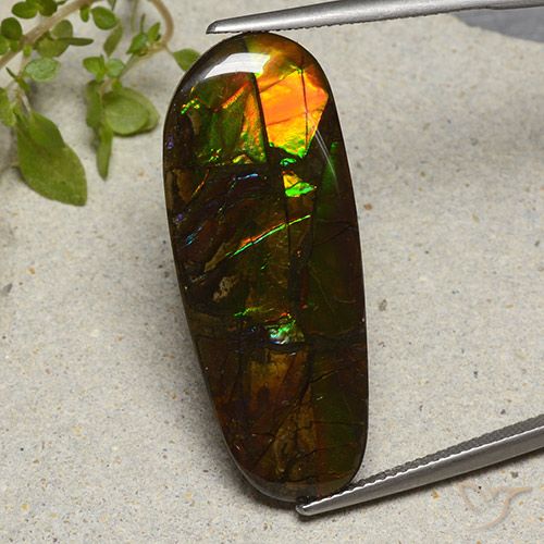 19.11ct 자연스러운 다색 암몰라이트, 팬시한, 불투명체