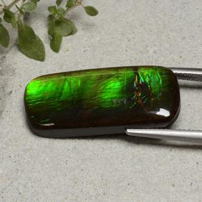 18.74캐럿 천연 다색 암몰라이트, 쿠션 컷, 불투명체