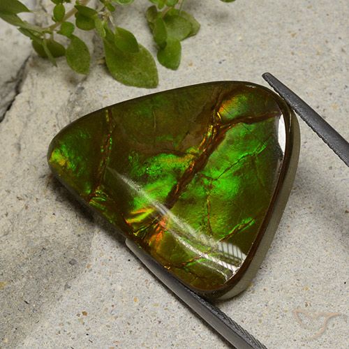 22.87ct 자연스러운 다색 암몰라이트, 팬시한, 불투명체