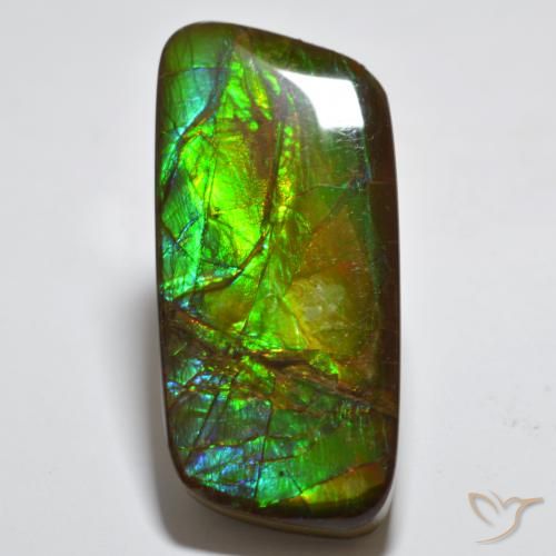 23.38ct 자연스러운 다색 암몰라이트, 팬시한, 불투명체