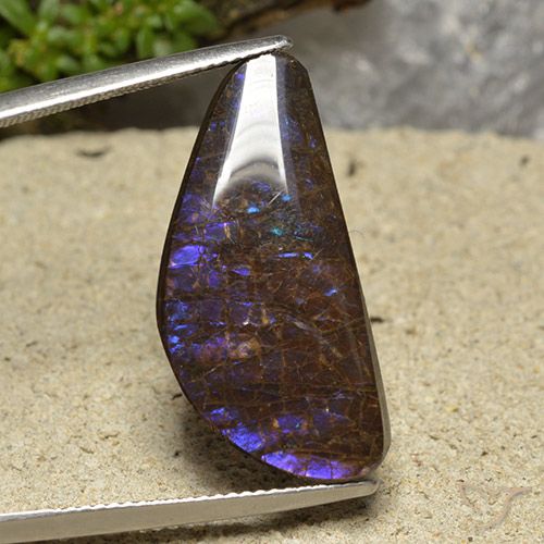 15.94ct 자연스러운 다색 암몰라이트, 팬시한, 불투명체
