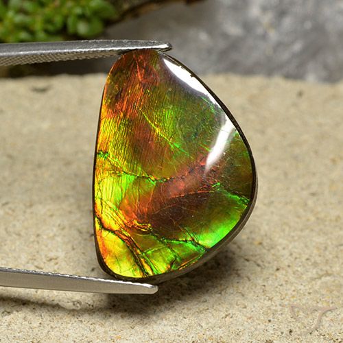 18.57ct 자연스러운 다색 암몰라이트, 팬시한, 불투명체