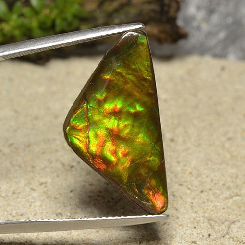 12.19ct 자연스러운 다색 암몰라이트, 일조, 불투명체