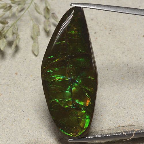 19.53ct 자연스러운 다색 암몰라이트, 팬시한, 불투명체