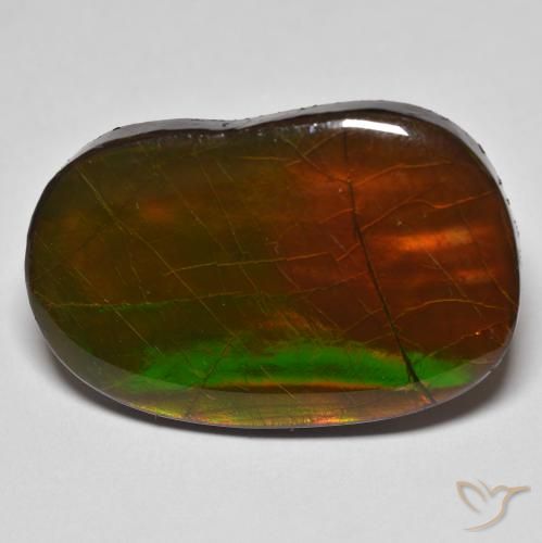 22.58ct 자연스러운 다색 암몰라이트, 팬시한, 불투명체