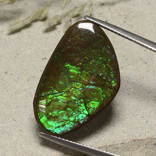 17.38ct 자연스러운 다색 암몰라이트, 팬시한, 불투명체