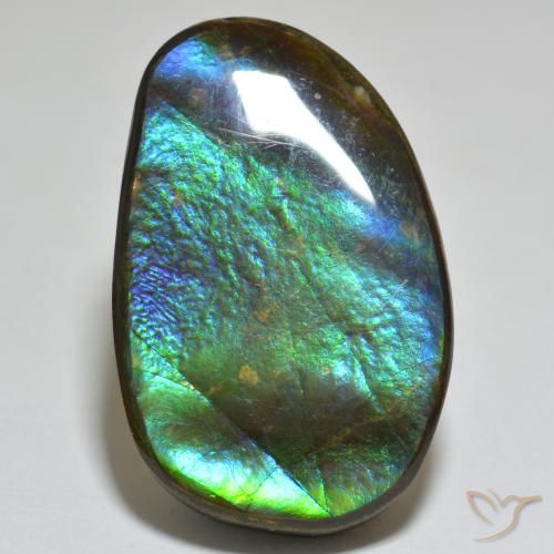 23.81ct 자연스러운 다색 암몰라이트, 팬시한, 불투명체