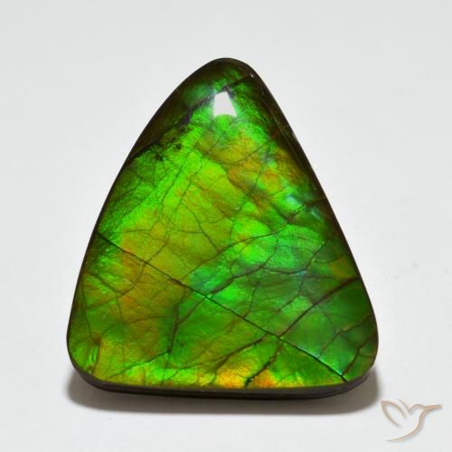 20.44ct 자연스러운 다색 암몰라이트, 팬시한, 불투명체