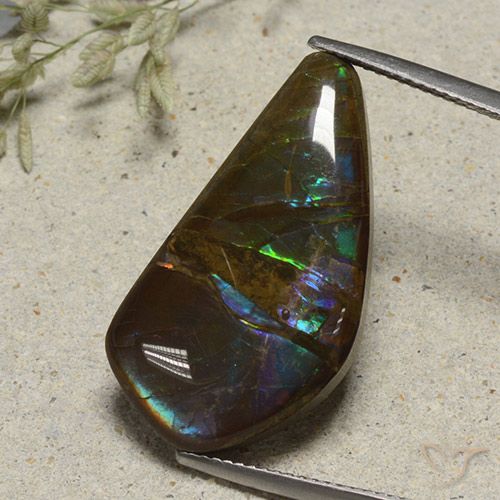 15.41ct 자연스러운 다색 암몰라이트, 팬시한, 불투명체