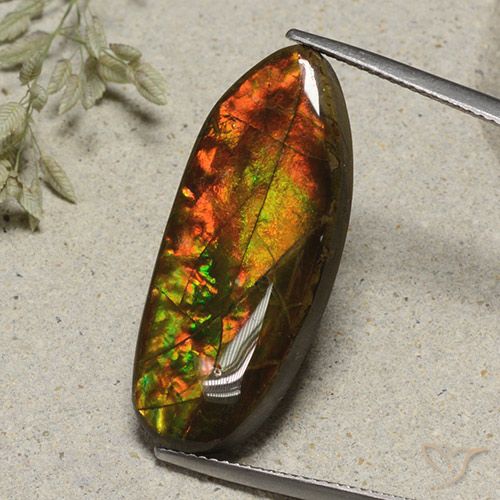 15.74ct 자연스러운 다색 암몰라이트, 팬시한, 불투명체