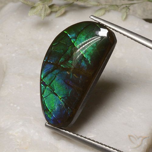 13.17ct 자연스러운 다색 암몰라이트, 팬시한, 불투명체