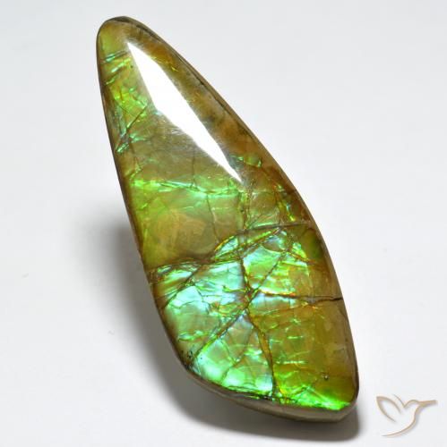 24.80ct 자연스러운 다색 암몰라이트, 팬시한, 불투명체