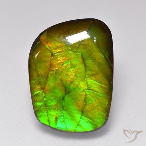 11.49ct 자연스러운 다색 암몰라이트, 팬시한, 불투명체