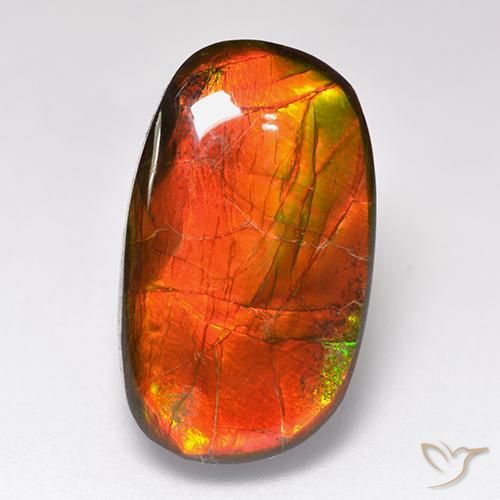 11.88ct 자연스러운 다색 암몰라이트, 팬시한, 불투명체