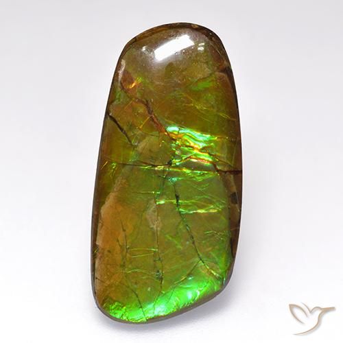 12.44ct 자연스러운 다색 암몰라이트, 팬시한, 불투명체