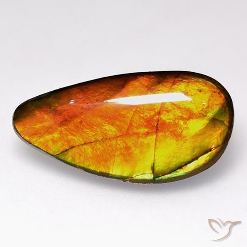 10.05캐럿 천연 다색 암몰라이트, 팬시한, 불투명체