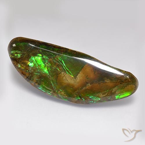 22.02ct 자연스러운 다색 암몰라이트, 팬시한, 불투명체