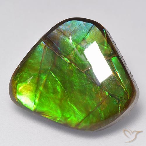 9.81ct 자연스러운 다색 암몰라이트, 팬시한, 불투명체